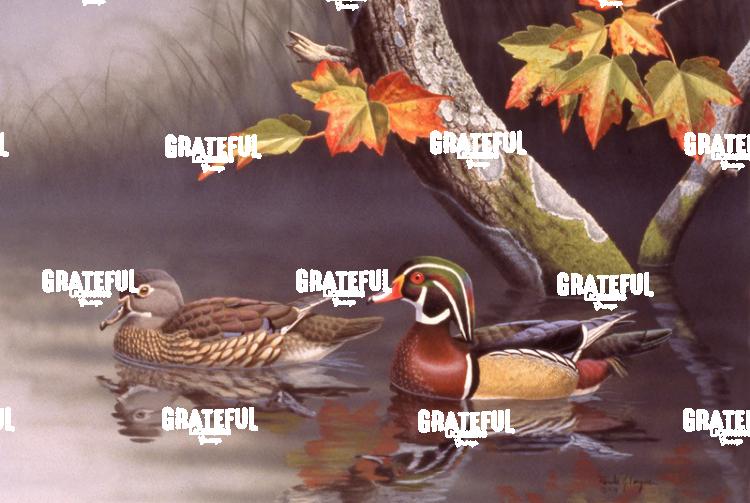 1978 Wood Ducks Maple
