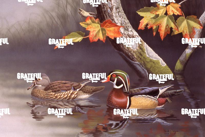 1978 Wood Ducks Maple