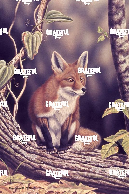 1977 Summer Fox