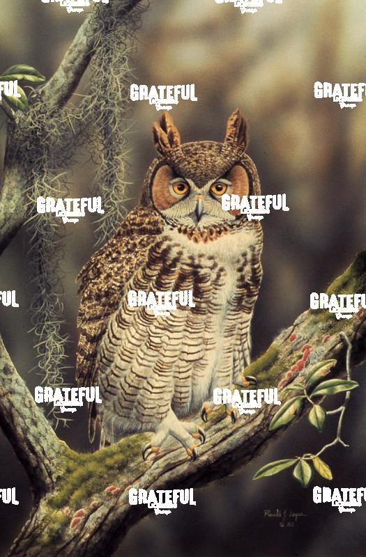 1977 Great Horned Owl