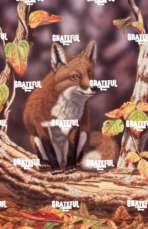 1977 Autumn Red Fox