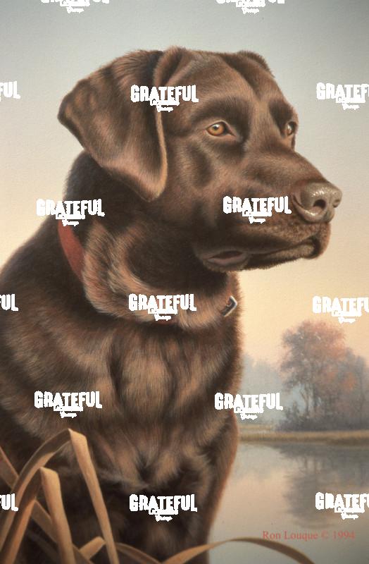1994 Choc Lab
