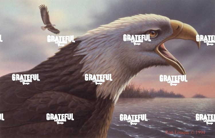 1993 Screaming Eagle