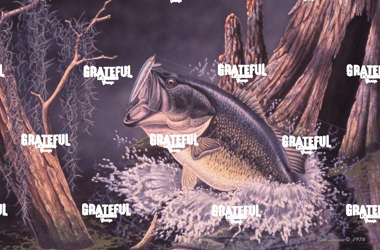 1976 Largemouth Bass 2