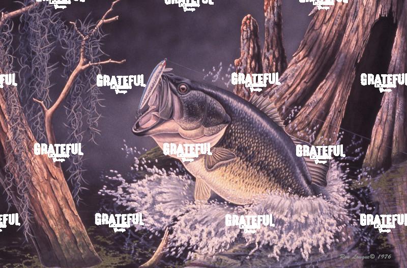 1976 Largemouth Bass 2