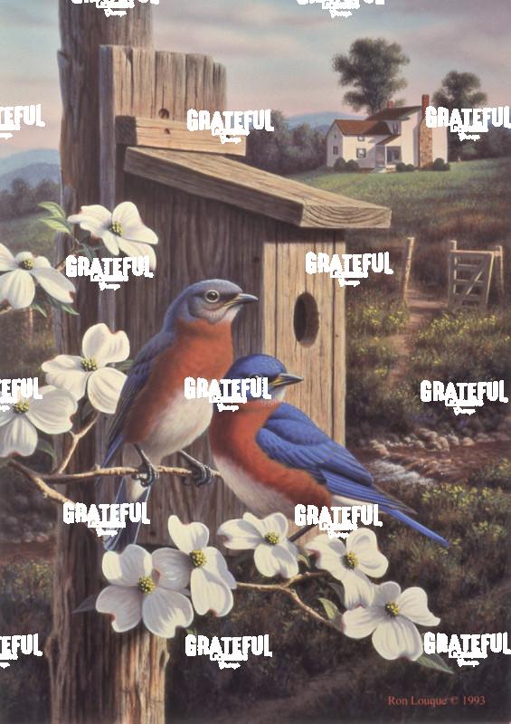 1993 Nesting Time