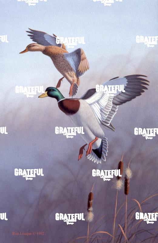 1992 Cat Tail Mallards