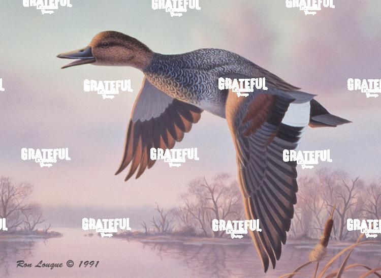 1991 Gadwall Cove