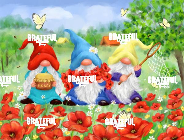 Summer Gnomes in Flower Field