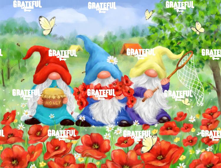 Summer Gnomes in Flower Field
