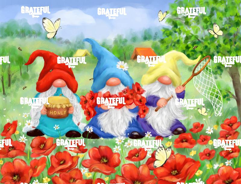 Summer Gnomes in Flower Field
