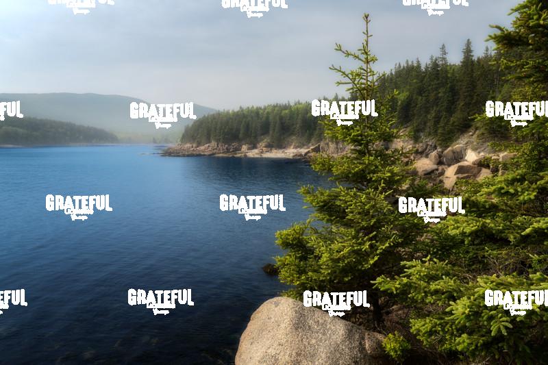 Afternoon Fog in Otter Cove