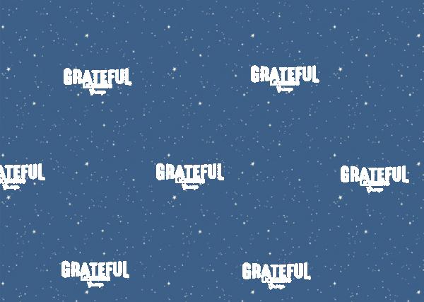 Space Cadets Pattern Classic Night