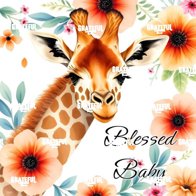 Blessed Baby Giraffe