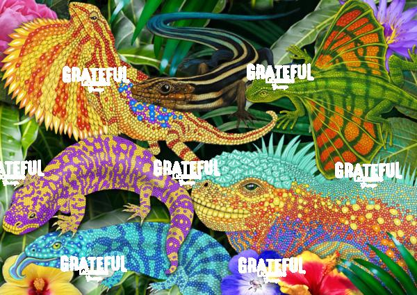Lizards Collage 2