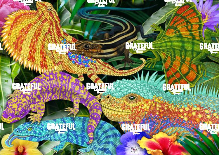 Lizards Collage 2