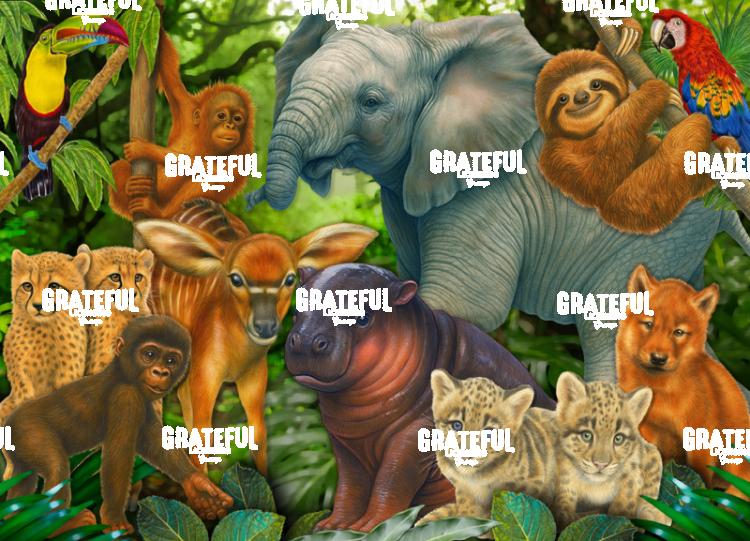 Baby Animals Collage
