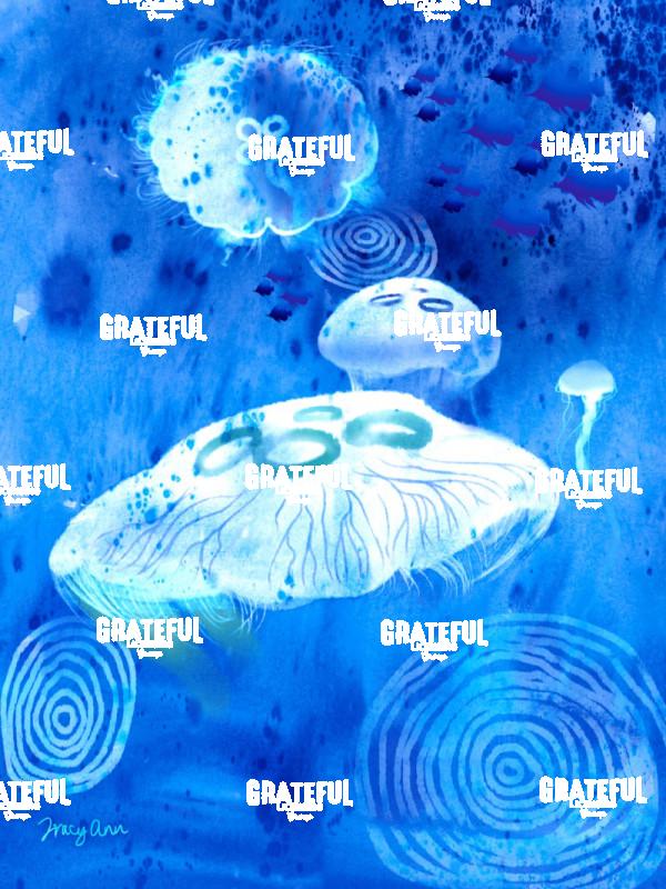 Aruma Sea Jellies