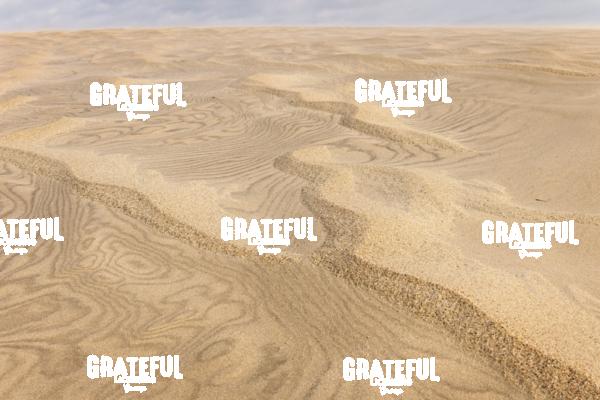 Jockey's Ridge Patterns
