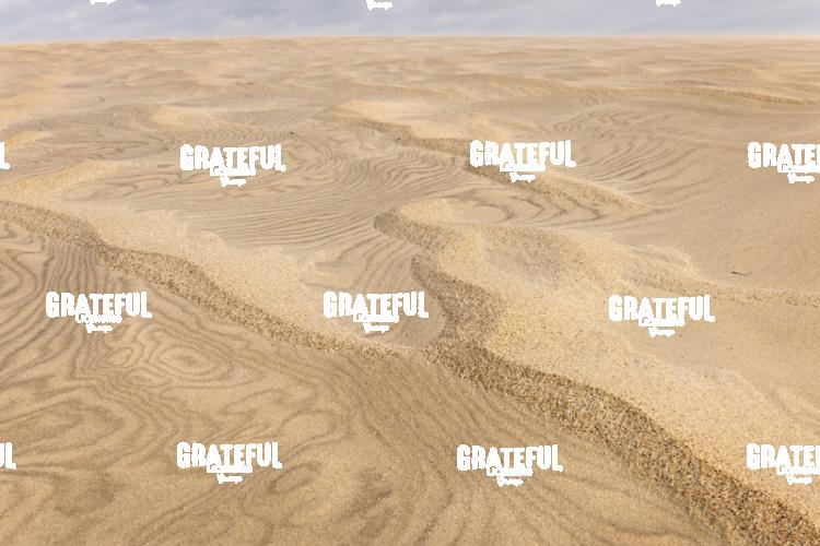 Jockey's Ridge Patterns