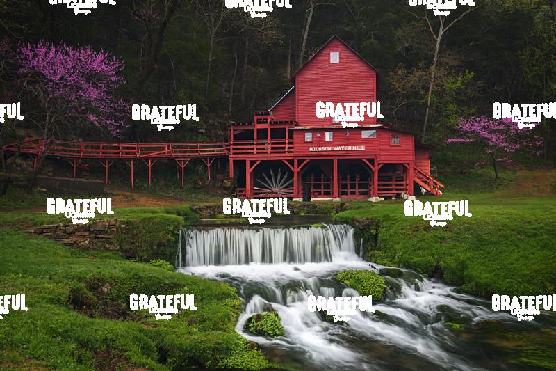 Springtime at Hodgson Water Mill