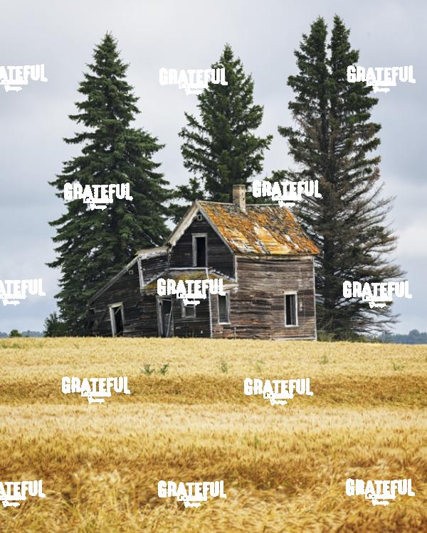 Great Plains Homestead