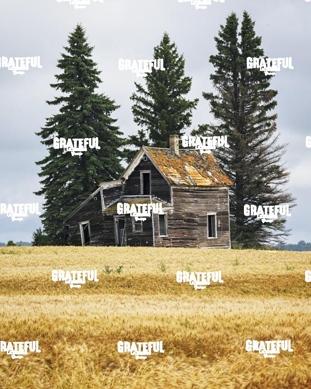 Great Plains Homestead