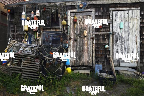 New England Lobster Shack