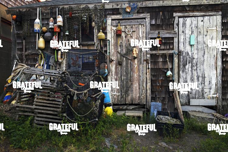 New England Lobster Shack