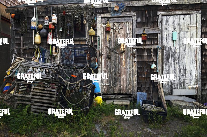 New England Lobster Shack