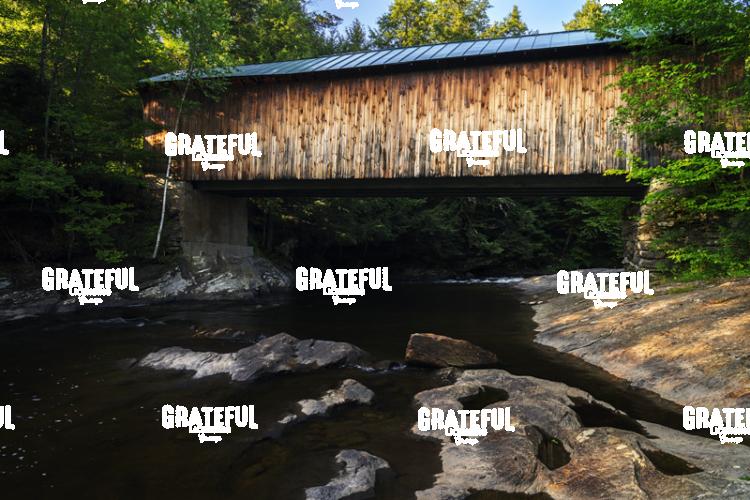 Old Montgomery Covered Bridge