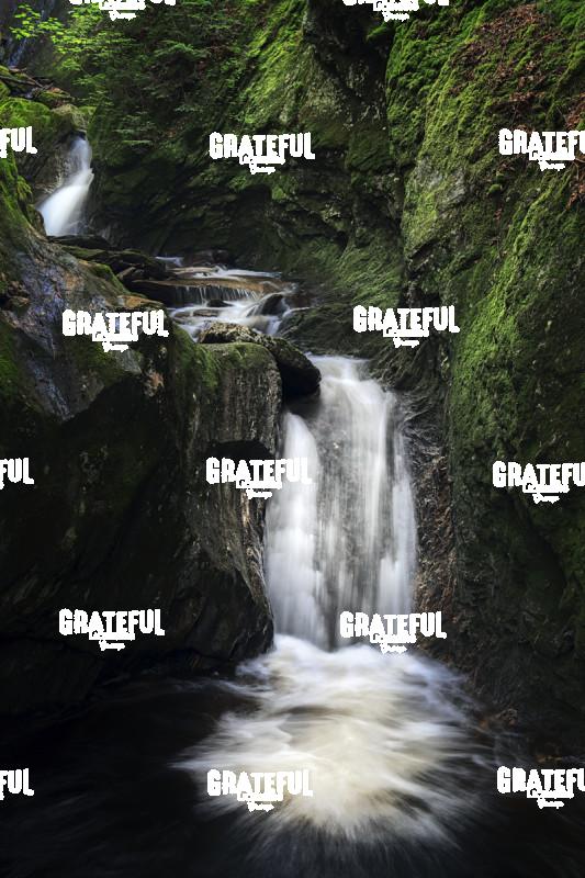 Deep in Sterling Gorge