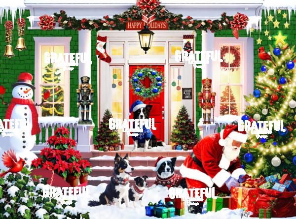 Santa's Porch Delivery