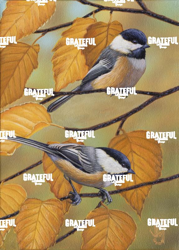 Fall Chickadees