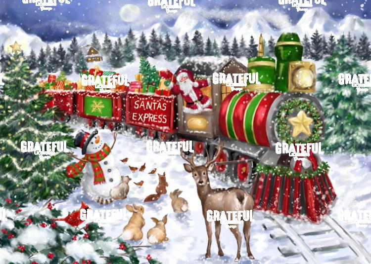 Santa Express