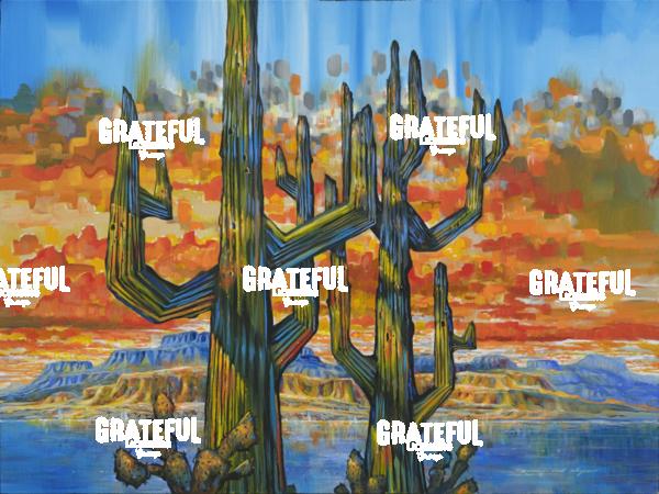 Arizona Desert