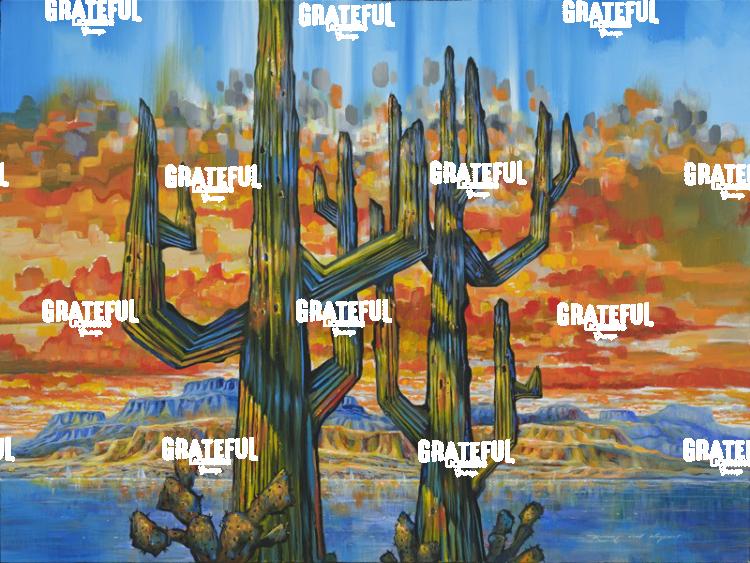Arizona Desert