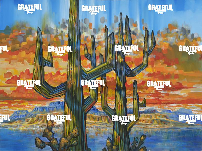 Arizona Desert