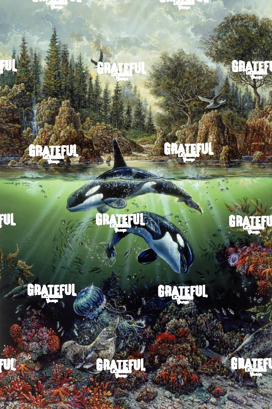 Pacific NW Concerto