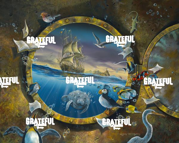 The Porthole