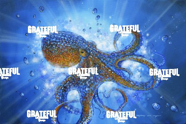 My Octopus Friend