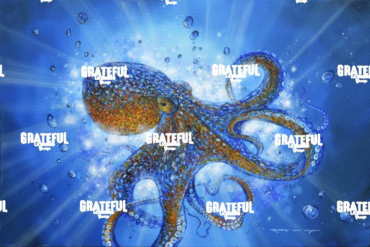 My Octopus Friend