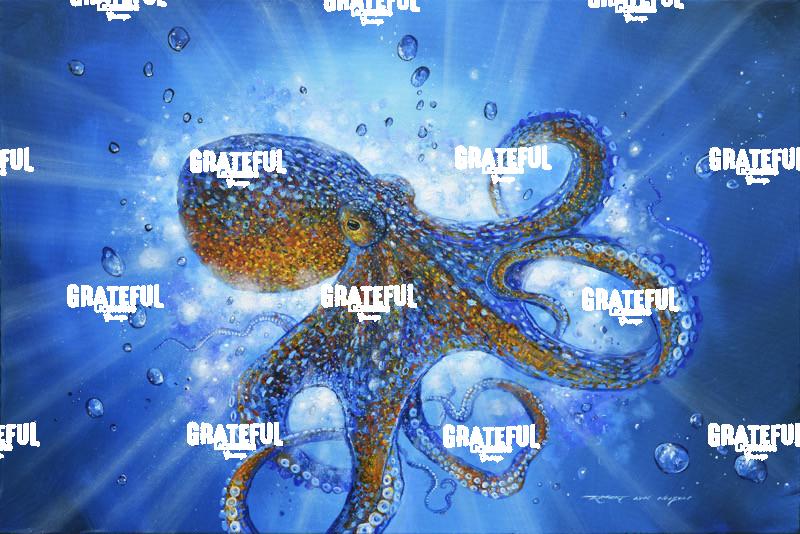 My Octopus Friend