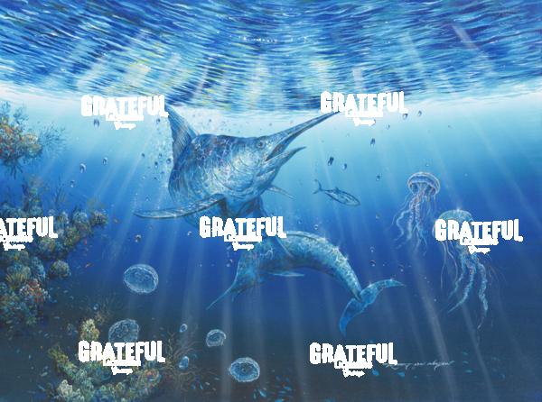 The Marlin And The Jellies