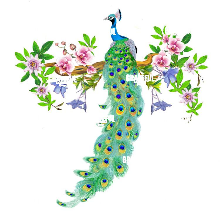 peacock with passionflower