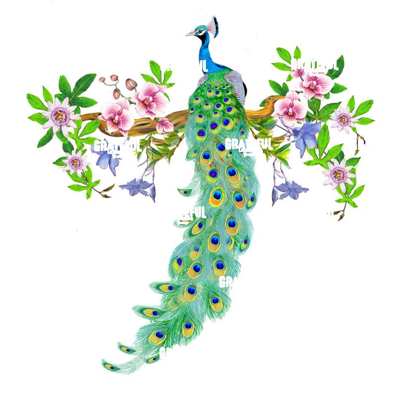 peacock with passionflower