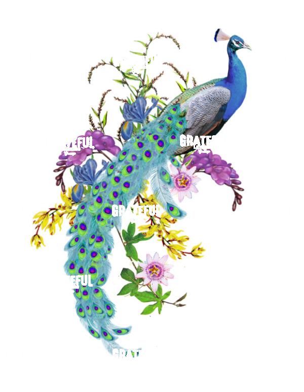 proud as a peacock