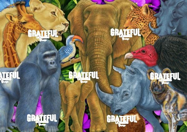 African Wildlife Collage