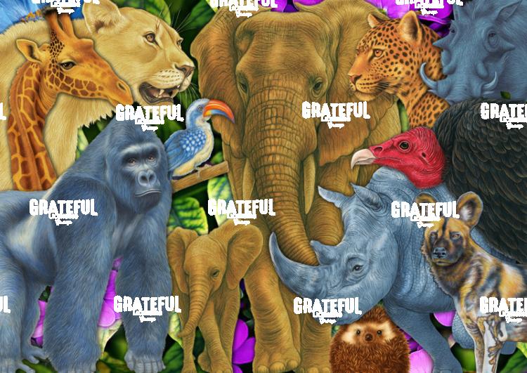 African Wildlife Collage