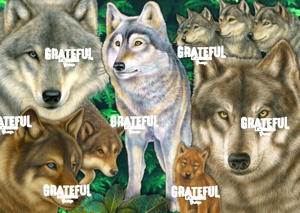 Wolves Collage